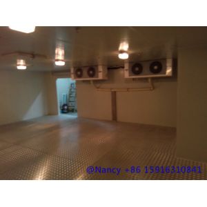 China dessert fresh storage,with 0-5℃，keep fresh wholesale