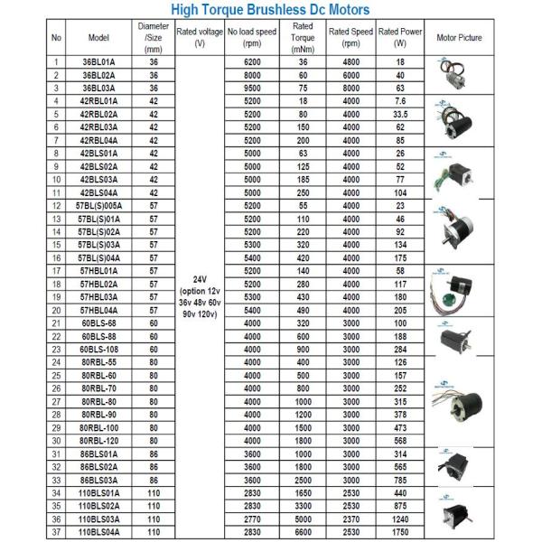 Custom Brush Brushless 12 volt 24 volt DC Motor 36 volt 48 volt Power 50 watt 100 watt 200 to 800w