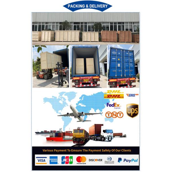 60-120 Pieces Per Minute Capacity Automatic Cartoon Cookie Making Machine