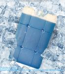 Cooling Eutectic Plate In Cooler Box For Medical Vaccine Blood Cold transportati