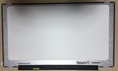 17.3 Inch TV Widescreen LCD Computer Monitors Innolux 300cd/m2 30 Pin N173HCE-E31