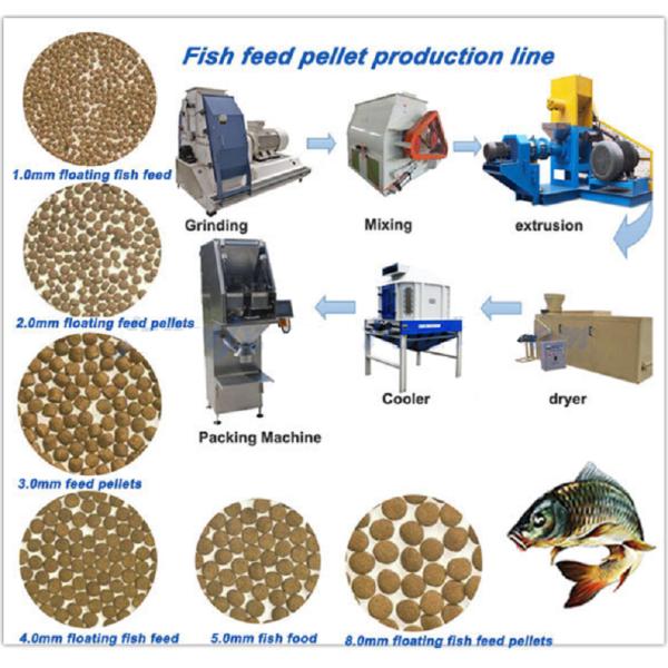 Floating Fish Feed Pellet Machine Animal Feed Pellet Machine 60-80KG/H