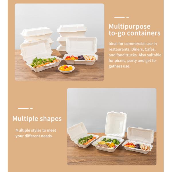 Blister Eco Compostable Clamshell 3 Compartment Disposable Lunch Box Sugarcane Bagasse