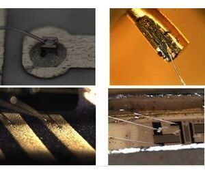 High Resolution Digital Microscope , Stereo Zoom Microscope With Digital Camera