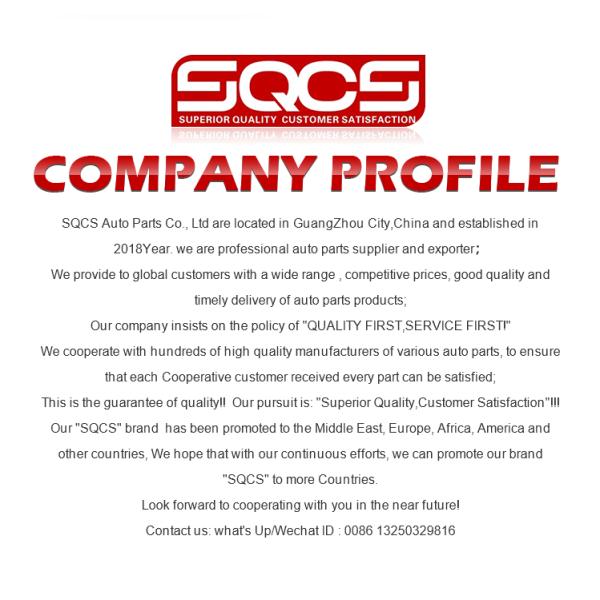 Auto Cabin Air Filter 6411923755 64119248294 For BMW X5/E70/X6