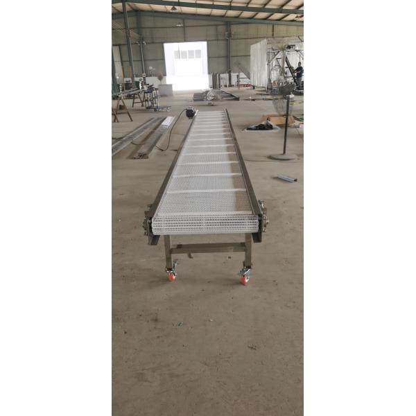 Customized Size Stainless Steel Wire Mesh Belt Conveyor Washing Vegetables
