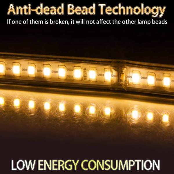 Wire Drawing Surface 24V LED Light Strip for Special Brightness Outdoor Lighting