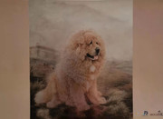 0.15mm Plate Newspaper Offset Printing Machine Multi Color 10000IPH