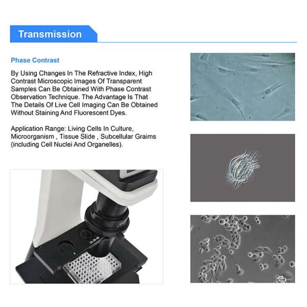 OPTO EDU A16.1063 LED Inverted Fluorescence Microscope