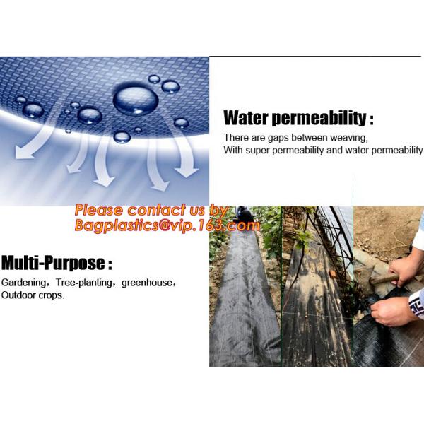 Garden used tomato plastic film cover,high light transmittance solar control seeding nursery greenhouse covers,100% virg