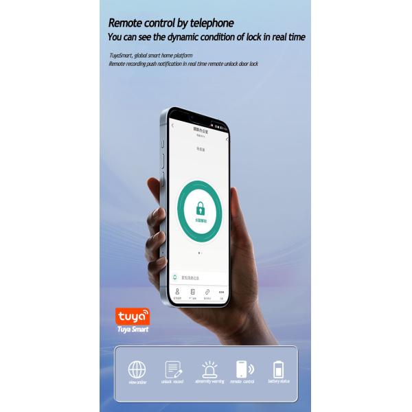 Anti Theft Face Detection Lock Video Intercom Tuya Face Scanner Door Lock