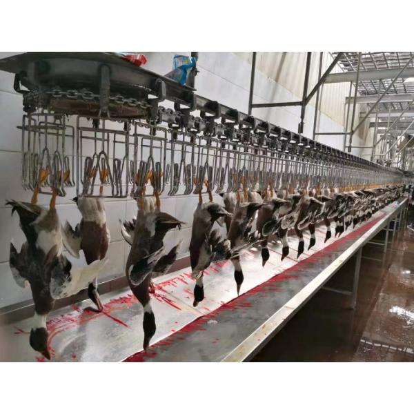 Stainless Steel 304 Poultry Plucking Machine 1500BPH Poultry Processing Equipment