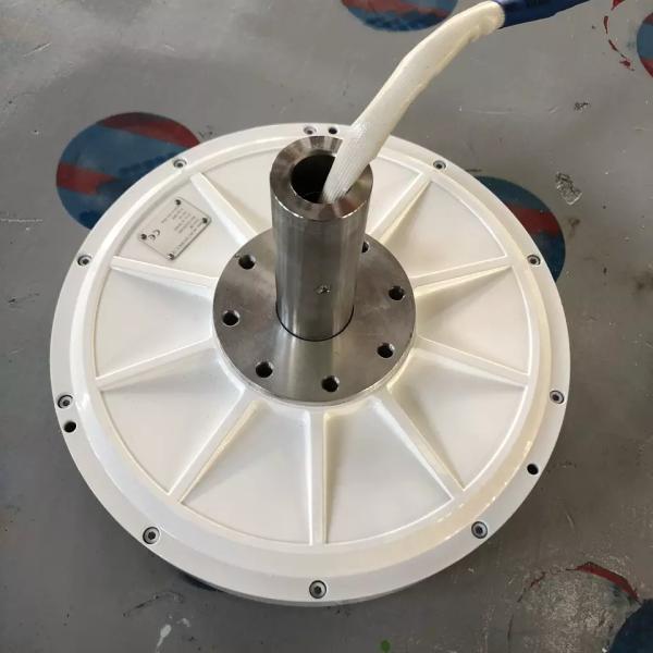 Custom Output Voltage 3kw 220v Vertical Axial Wind Turbine Generator for Sales