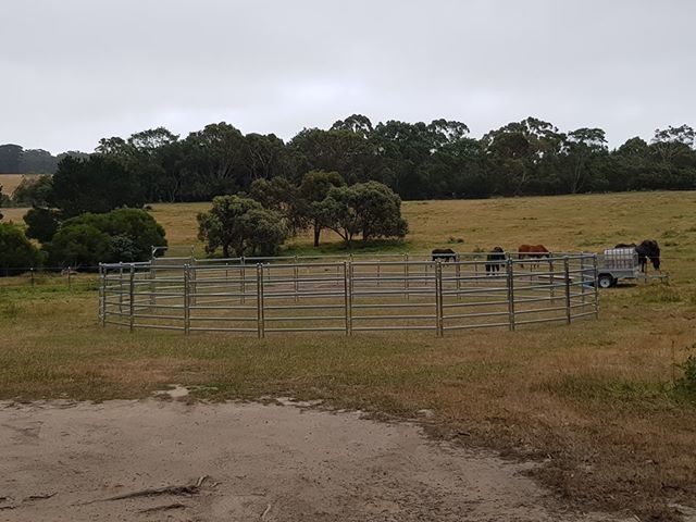 30pcs Bundle Heavy Duty Portable Cattle Panels For Sale & Gate