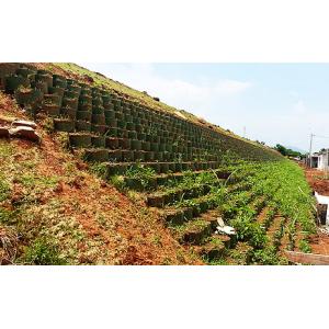 Surface Pea Gravel Stabilizer Grid Geocell Lattice 100% Virgin HDPE