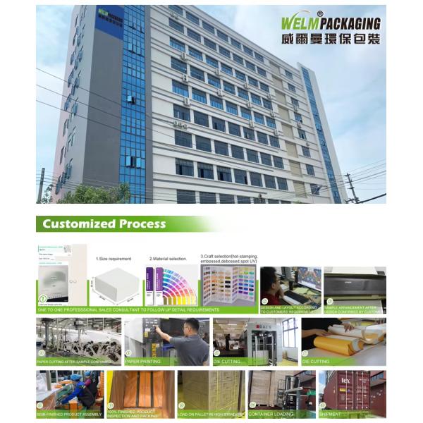 CMYK Printing Foldable Clamshell Burger Box Takeaway Packaging White Cardboard