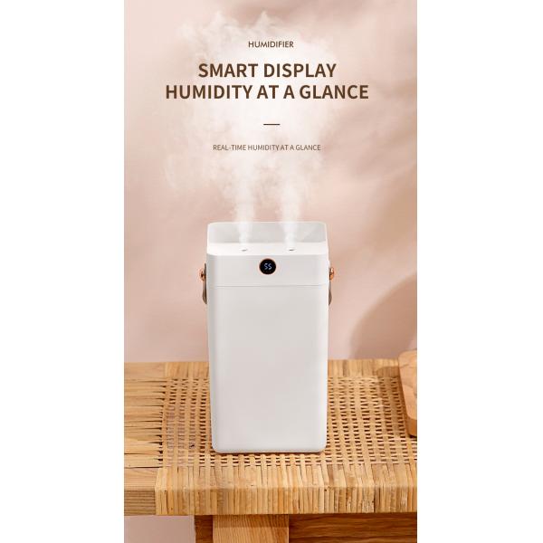 HOMEFISH Desktop 3L Double Spray Portable Ultrasonic Air Humidifiers For Office