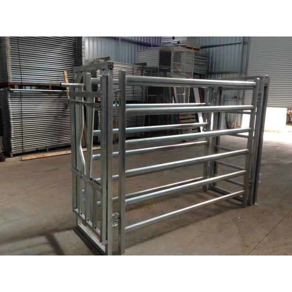 Carbon Steel 2.25m Height Livestock Handling Equipment For Cattle Yard