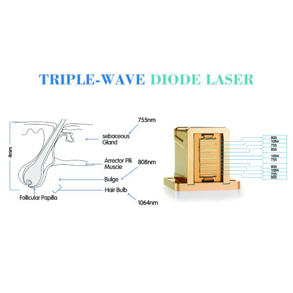 triple wave lenght TEC cooling 800W high energy best professional laser hair removal machine