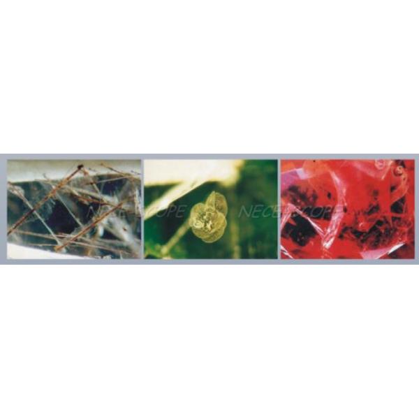 Bright Field Light Zoom Gem Stereo Microscope With 100mm Working Distance