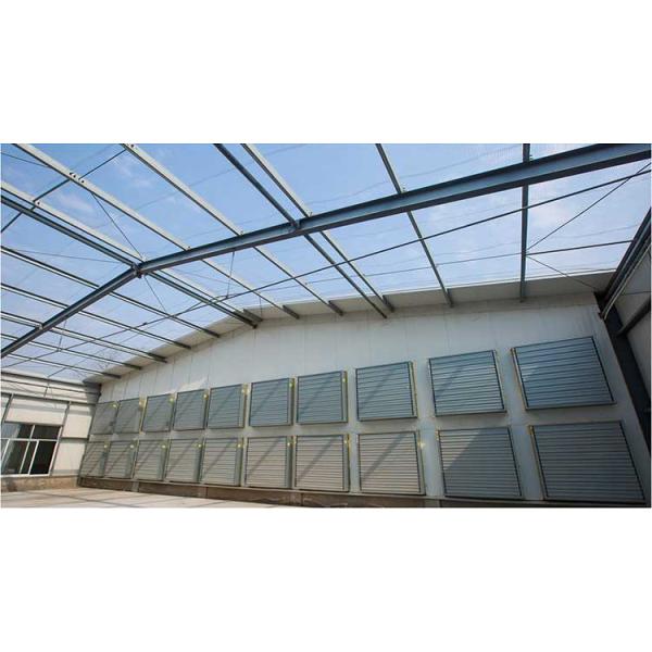 Automatic Steel Structure Poultry Farm Shed Design Modern Chicken House