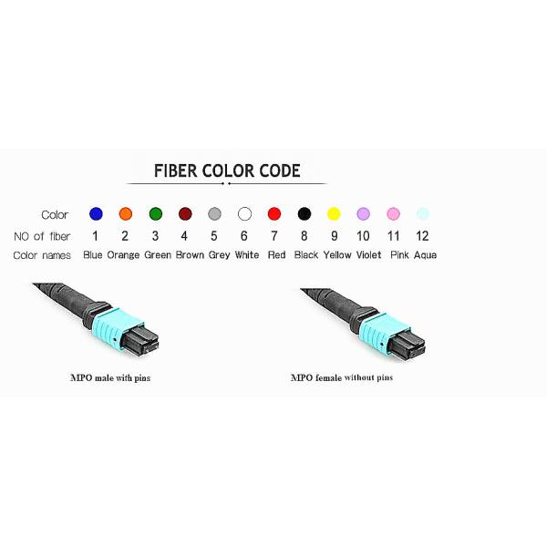 Low PDL Om3 Fiber Patch Cord , MPO Female Type B LSZH Multimode Fiber Optic Cable