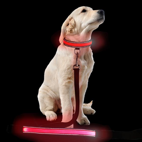 Custom Popular Large LED Dog Collar , Flashing Long Dog Leash For Pet Walk