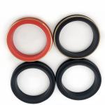 Standard And Non Standard Heat Resistant Buna/HNBR/FKM/PTFE Hammer Union Seals