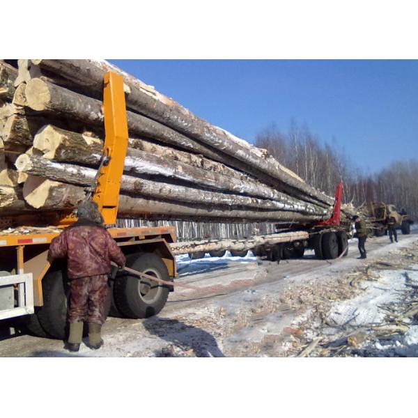 Off Road Heavy Log Loader Truck , Loading Logging Trucks With Tri Angle Log Pillar