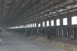 Automation And Sanitary Pre-made Steel Structural Cowshed Framing Systems