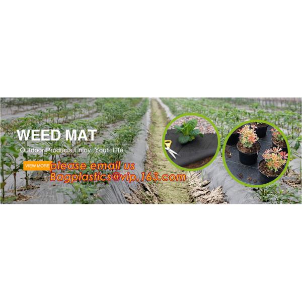 Garden used tomato plastic film cover,high light transmittance solar control seeding nursery greenhouse covers,100% virg