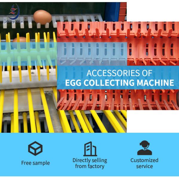 U Shaped Egg Scratcher For Poultry Farm Egg Collection System