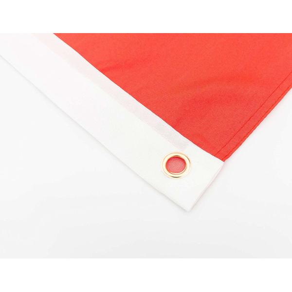 Wholesale Promotional flag 100% Polyester Custom Size Flag