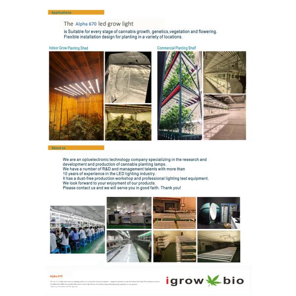 3.1umol/J UV LED Grow Lights