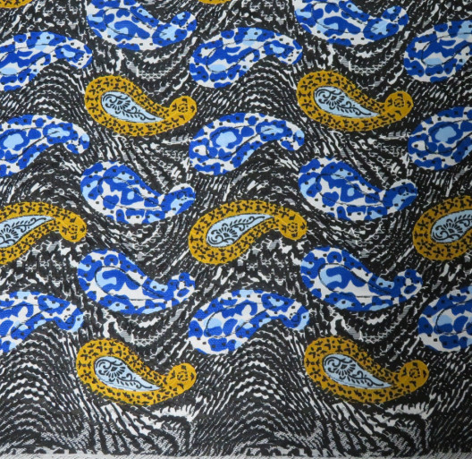 Paisley Pattern of Digital Printed Fabric