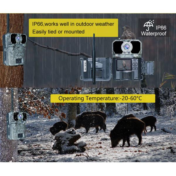 20MP Night Vision Hunting Cameras SMTP MMS SMS IP67 Wildlife Trail Hunting Camera