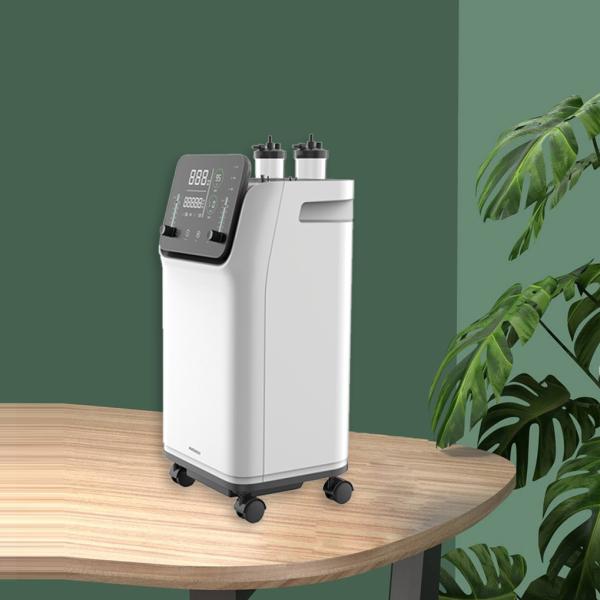 Dual Flow 10L Oxygen Concentrator For All Kinds Of People