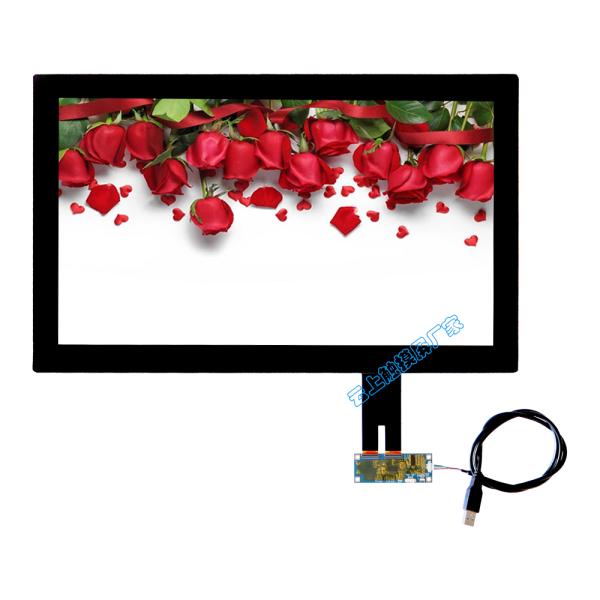 3.1 Inch Capacitive Touch Screen Customizd size and logo