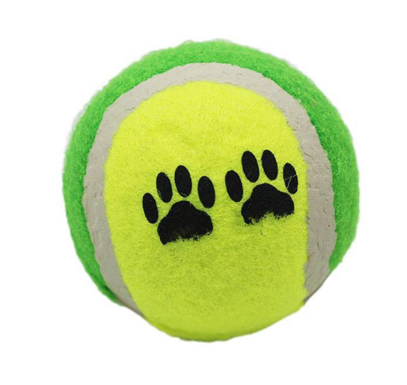 Interactive Safe Rubber Pet Tennis Balls For Traning Exercise Playing