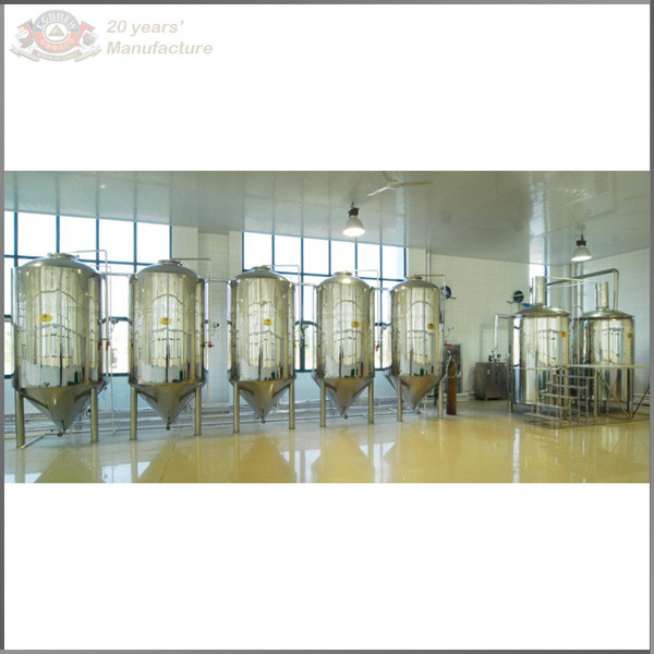 300L craft beer production line with fermenters with pressure vessel certificate