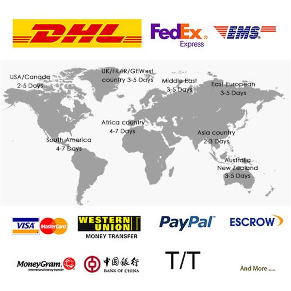 5 Function 0.4MPA Bathroom Handheld Shower Head 10cm*26cm Size