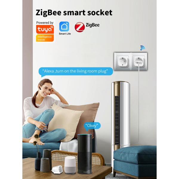 Zigbee Remote Light Bulb Socket EU Plug Tuya Smart Wifi Switch Socket