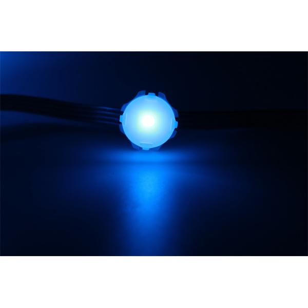 Miracle Bean Outdoor IP67 0.3W Smd5050 DC12V 20mm LED Point Light Single Color