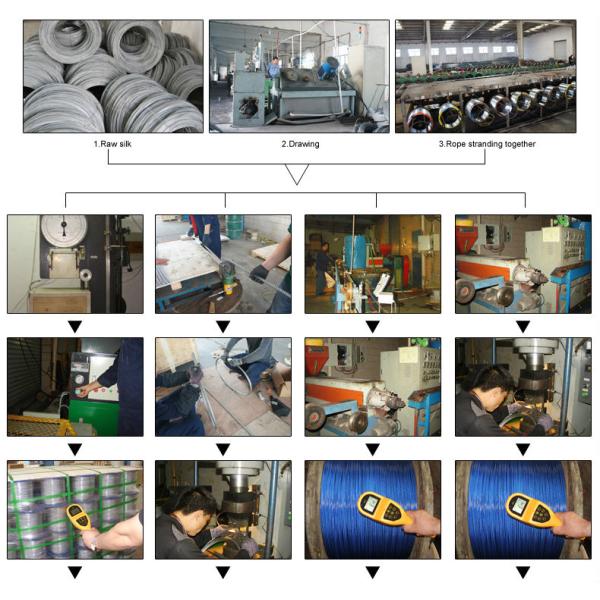 Eco-Friendly Retractable Dog Tie Out Cable with 4.41 KN Breaking Strength and Customizable Length