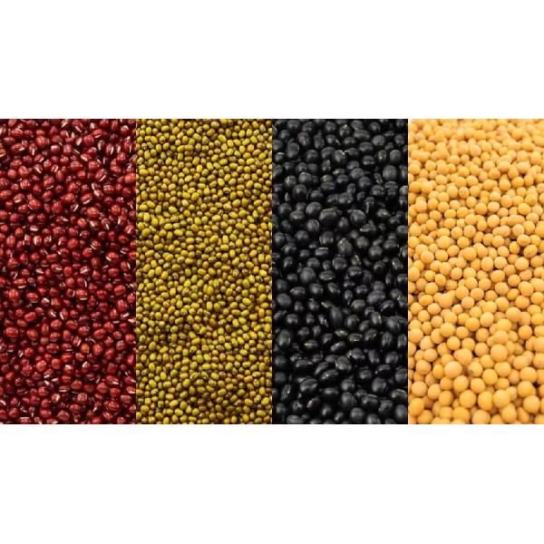 Grain Wheat Rice Processing Vision Color Sorter 3Kwh Colour Separator Machine