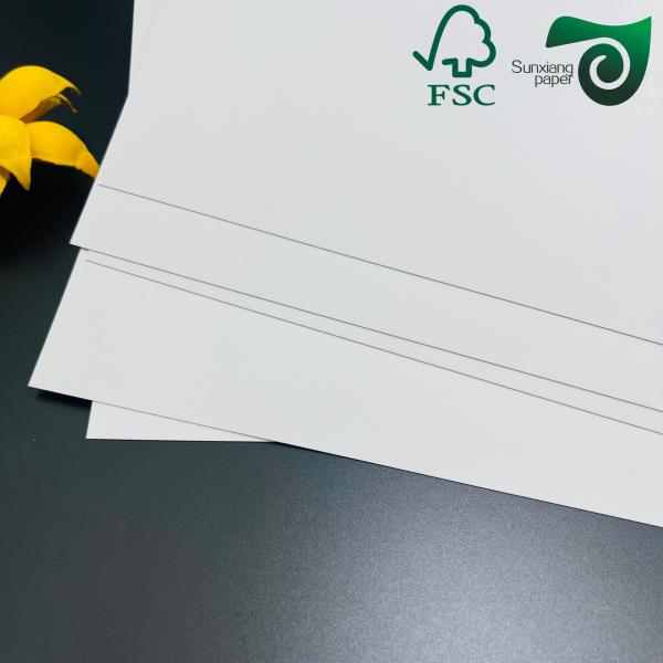 FSC 190gsm 210gsm C1S SBS Paper Board 70cm 100cm For Shopping Bags Ivory Board Paper