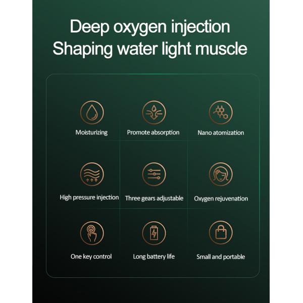 Customize Hyperbaric HandHeld Facial Skin Care Devices Mini Facial Atomization Sprayer