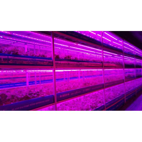 Greenhouse Agriculture Iot Vertical Factory For Modern Agriculture