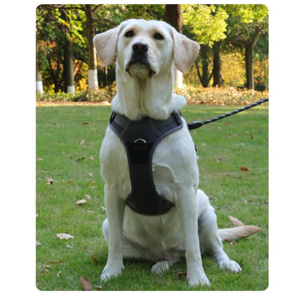 Pet Massage Oxford Cloth Chest Harness Reflective Adjustable Vest Style For Small Medium And Large Dogs