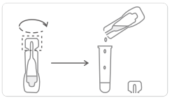 GICA Nasal Covid 19 Rapid Test Kit 20 Tests / Kit Rtk Nasal Swab